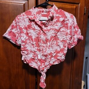 American Eagle Crop Tourist Shirt